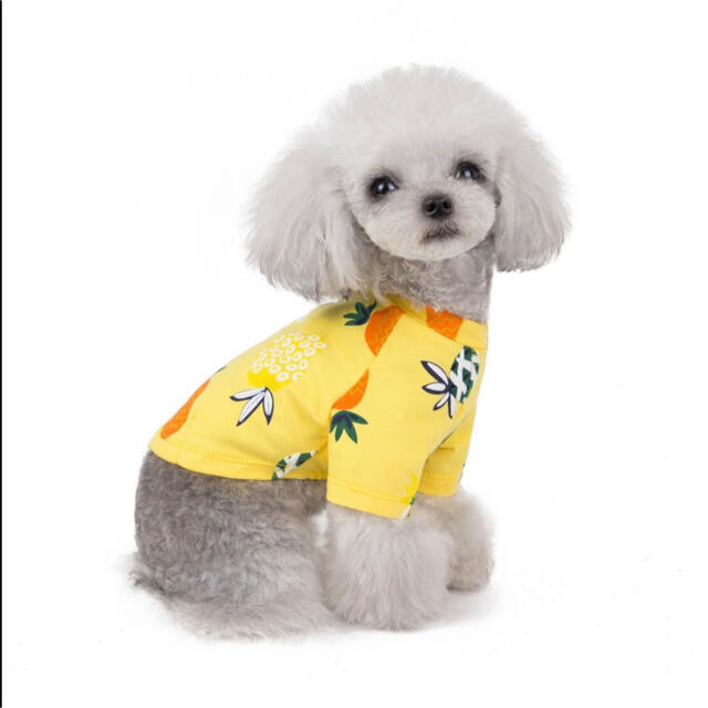 新品 即納 犬服 ドッグウェア パイン パイナップル柄 フルーツ ロンT その他のペット用品(犬)の商品写真