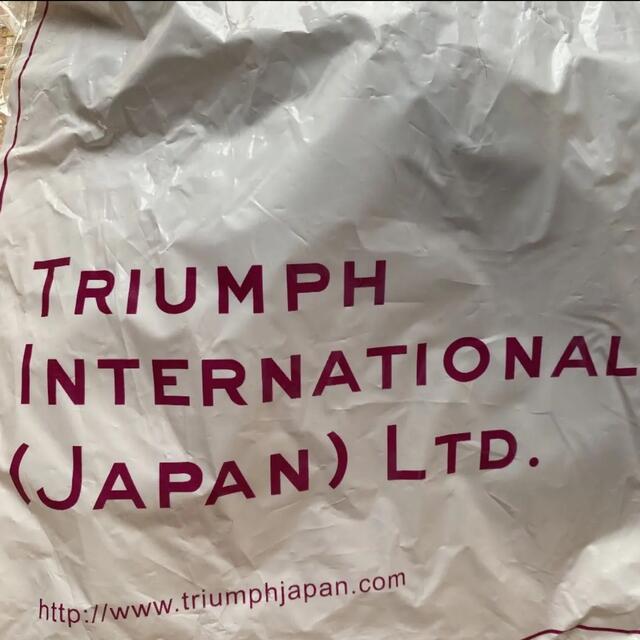 Triumph(トリンプ)のトリンプ　E70  Tシャツブラ レディースの下着/アンダーウェア(ブラ)の商品写真
