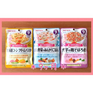 キユーピー(キユーピー)の139☆ 離乳食 ９ヶ月 ３食セット ベビーフード パウチ(その他)