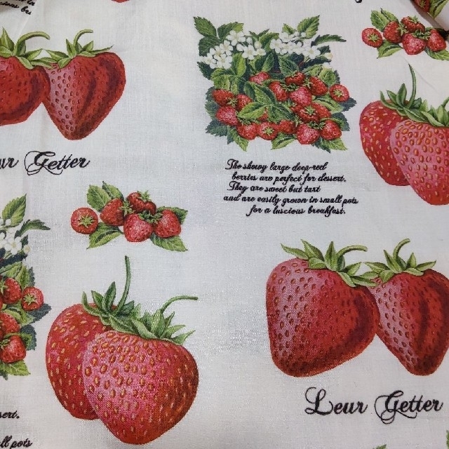 ジェーンマープル いちご 黒 Strawberry garden 旬アイテム新作入荷20