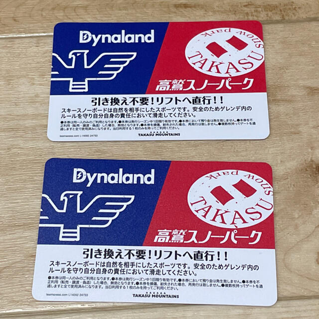 最大70%オフ! ダイナランド高鷲全日共通券×2 その他 最大70%オフ! ダイナランド高鷲全日共通券×2 その他