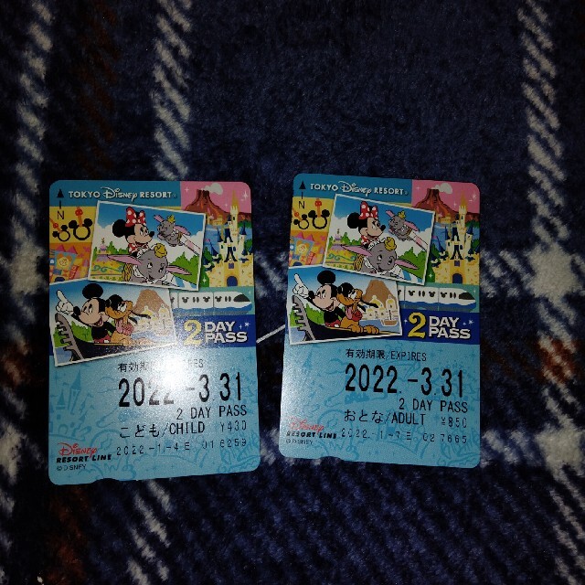 ディズニー　リゾートライン　２DAY PASS チケットの施設利用券(遊園地/テーマパーク)の商品写真