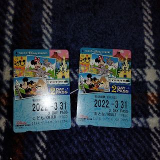 ディズニー　リゾートライン　２DAY PASS(遊園地/テーマパーク)