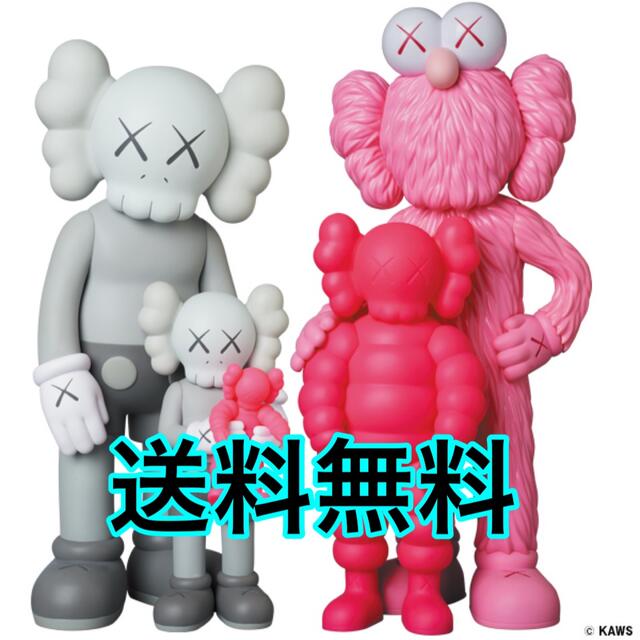 新品 KAWS FAMILY GREY / PINK / FLUORO PINK新品