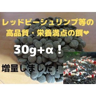 レッドビーシュリンプやエビの餌！30ｇ+αです！栄養満点の錠剤タイプの餌。(アクアリウム)