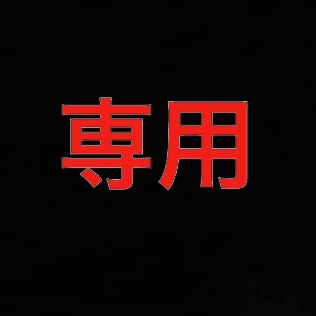 専用出品【アリゾナフリーダム】 専用出品【アリゾナフリーダム】
