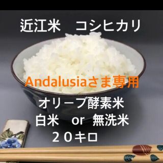 近江米 オリーブ酵素米 コシヒカリ 殺菌殺虫剤散布無し 無洗米 白米(米/穀物)