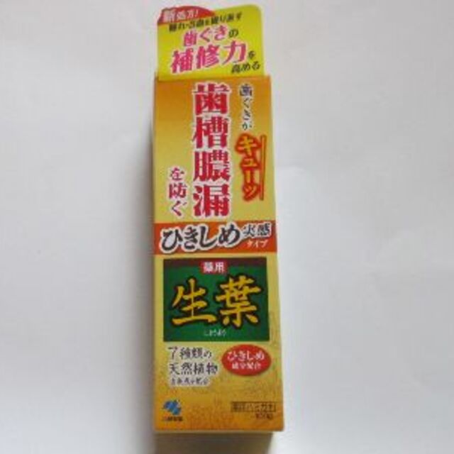 小林製薬(コバヤシセイヤク)の【訳あり】生葉　ひきしめ実感タイプ　１００ｇ　２個セット☆ コスメ/美容のオーラルケア(歯磨き粉)の商品写真