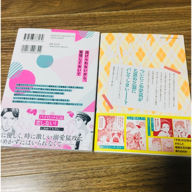 こじゃじ様専用❗️一途な恋人はパイロット~エアポートラブ~ 1