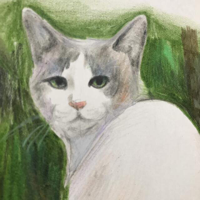 ドローイング 猫 ネコ 自然 原画 インテリア 絵画 イラスト 絵 風景 一点物 ドローイング 猫 ネコ 自然 原画 インテリア 絵画 イラスト 絵 風景 一点物
