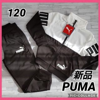 プーマ(PUMA)のPUMA ジャージ上下 120 パンツ 上着 ジュニア キッズ 男の子(その他)