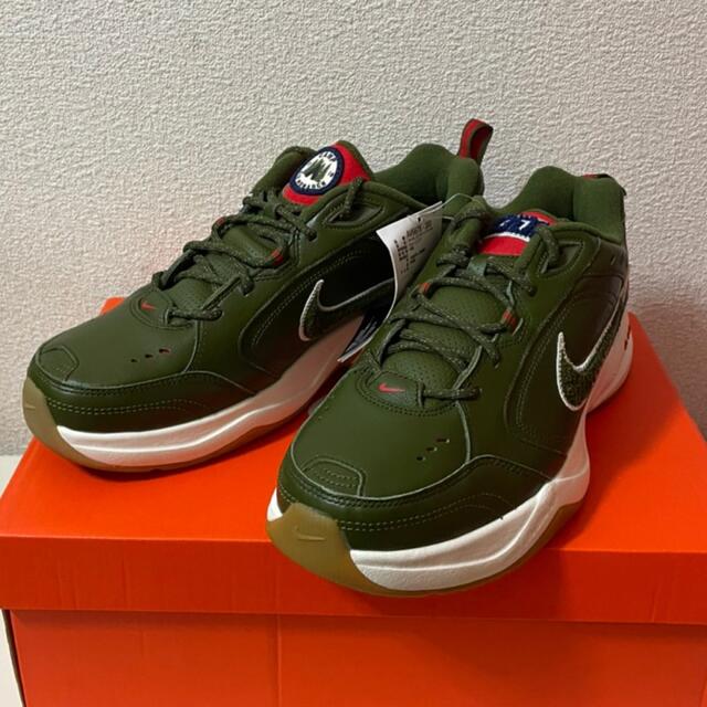 Nike Air Monarch IV Weekend Campout 27.5オリーブ