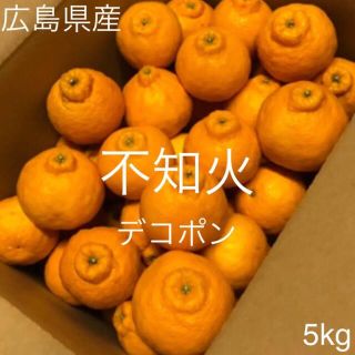 広島県産　不知火　デコポン　5kg以上(フルーツ)