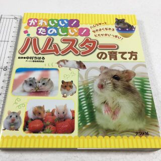 未読未使用品　かわいい！たのしい！ハムスタ－の育て方 ハムスタ－となかよくなれ(住まい/暮らし/子育て)