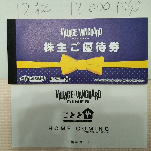 ヴィレッジヴァンガード株主優待券 12枚 kresnainvestments.com
