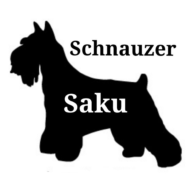 やまちゅー様専用　犬　カーステッカー　名前入り　名前シール その他のその他(オーダーメイド)の商品写真