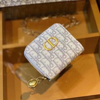 クリスチャンディオール(Christian Dior)のカードケース コインケース 名刺入れ グレー(コインケース)