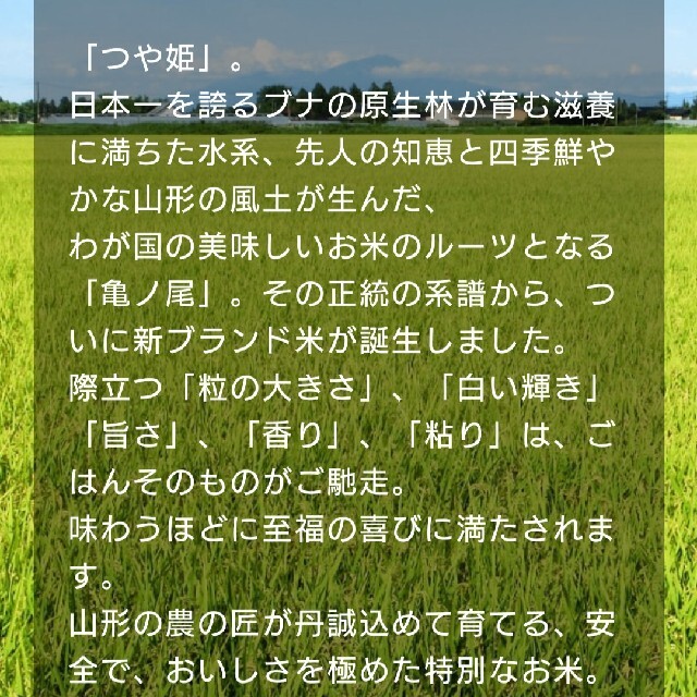 つや姫10kg（5kg×2袋）山形県産令和３年産 1