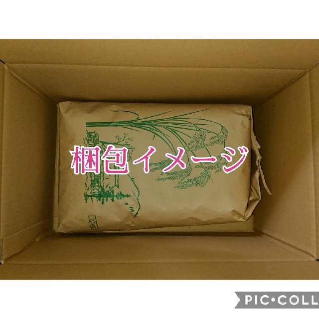 つや姫10kg　山形県産令和３年産 2