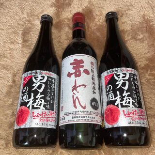 サッポロ(サッポロ)の男梅の酒　蒼龍赤わいん(リキュール/果実酒)