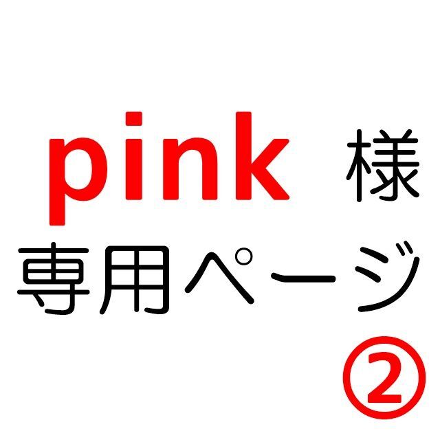 pink様専用ページ② エンタメ/ホビーの本(語学/参考書)の商品写真