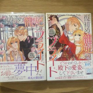 仮初め寵妃のプライド 皇宮に咲く花は未来を希う 1、２(その他)