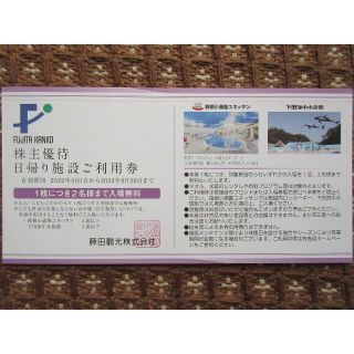 【送料無料】藤田観光 株主優待券 日帰り施設利用券2枚（期限2022.9.30）(遊園地/テーマパーク)