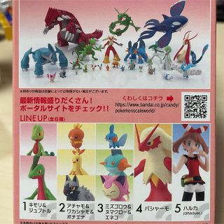 バンダイ(BANDAI)のポケモンスケールワールド　ホウエン地方(キャラクターグッズ)