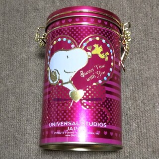 スヌーピー(SNOOPY)の★ミョロさま専用★◆USJ スヌーピーのお菓子の空き缶+2個セット(キャラクターグッズ)