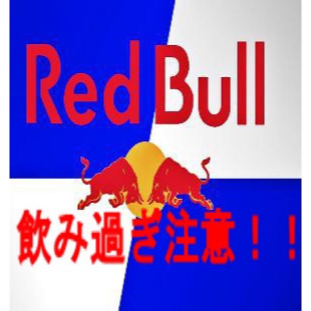 レッドブル250mL48本(2ケース)