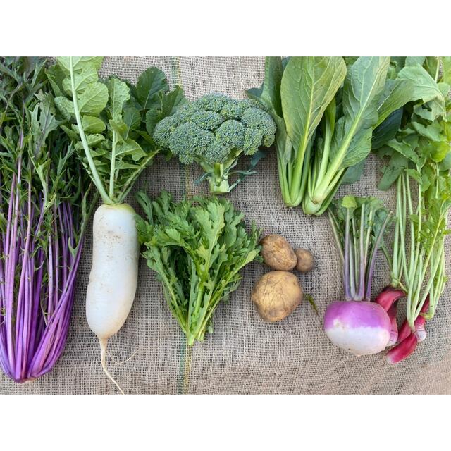 【綾善farm】季節のお野菜セット　お試し8品60サイズ 食品/飲料/酒の食品(野菜)の商品写真