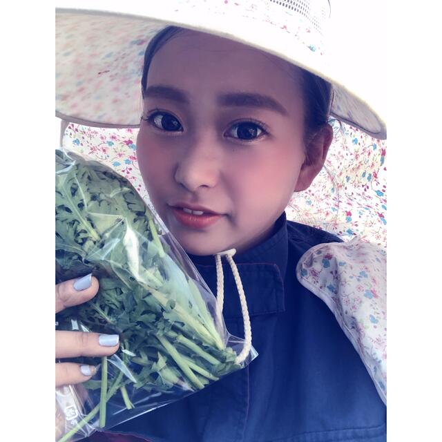 【綾善farm】季節のお野菜セット　お試し8品60サイズ 食品/飲料/酒の食品(野菜)の商品写真
