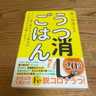 うつ消しごはん タンパク質と鉄をたっぷり摂れば心と体はみるみる軽く(健康/医学)