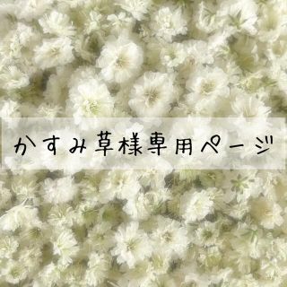 かすみ草様専用ページ(ドライフラワー)