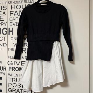 韓国　LAG 裾コットンニット　ブラック　フリーサイズ(ニット/セーター)