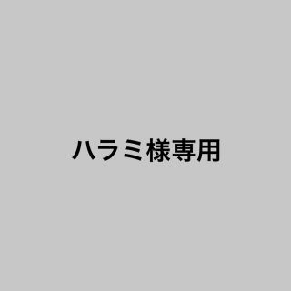 ハローキティ(ハローキティ)のハラミ様専用出品(キャラクターグッズ)