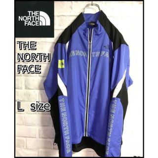 ザノースフェイス(THE NORTH FACE)のTHE NORTH FACE✩マウンテンパーカー　青色　Lサイズ(マウンテンパーカー)