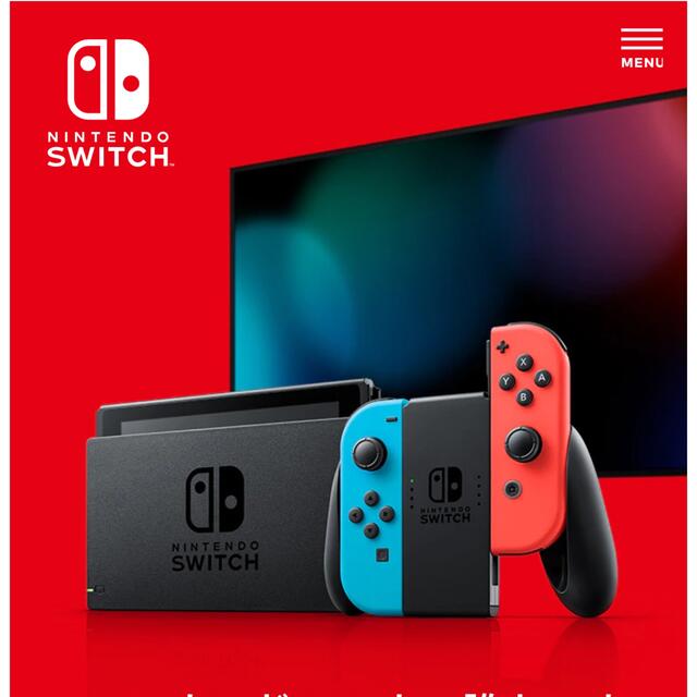 Nintendo Switch(ニンテンドースイッチ)の専用（他の方は購入お控えください） エンタメ/ホビーのゲームソフト/ゲーム機本体(家庭用ゲーム機本体)の商品写真