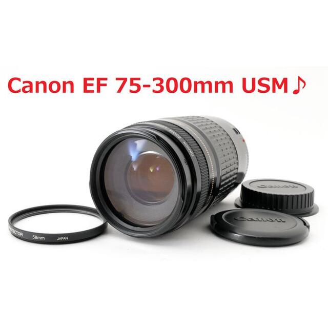 #3878 ☆お買い得な超望遠♪☆ Canon  EF 75-300 USM