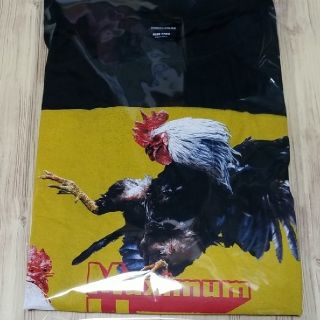 B'z　稲葉浩志　INABA/SALAS Tシャツ(ミュージシャン)