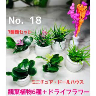 ラスト 1コ　ミニチュア　観葉植物　多肉植物　ドールハウス　ミニチュアフード(ミニチュア)