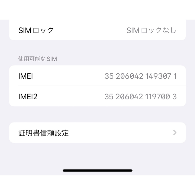 Iphone13 pro max 256gb シエラブルー 2