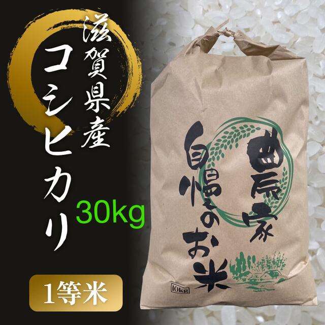 限定ご奉仕価格】滋賀県産 1等米コシヒカリ 30kg - 米/穀物