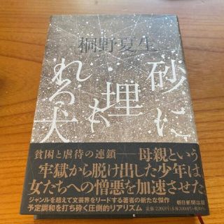 あやさま専用　砂に埋もれる犬(文学/小説)