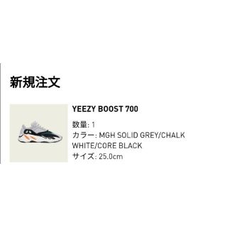 yeezy boost 700 wave runner takuya∞ 着用