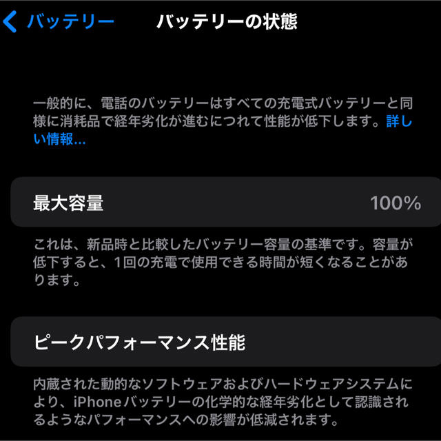 【即発送】iPhone13 pro max 128gb シエラブルー ケース付き 3