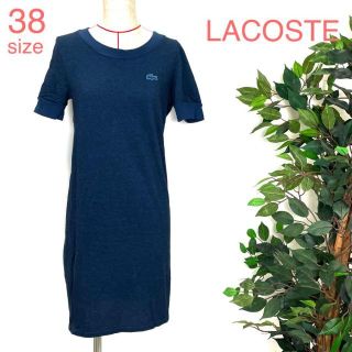 ラコステ(LACOSTE)のLACOSTE ラコステ カットソーワンピース 半袖 ひざ丈 9252(ひざ丈ワンピース)