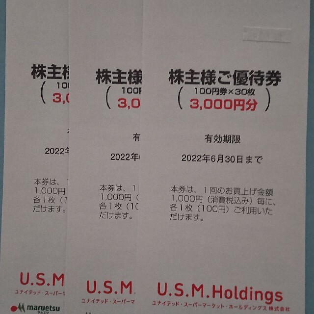 ユナイテッドスーパーマーケット 株主優待 9000円 マルエツ、カスミ ショッピング