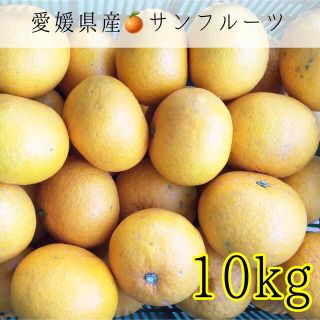 04 愛媛県産みかん サンフルーツ10kg 訳あり家庭用(フルーツ)