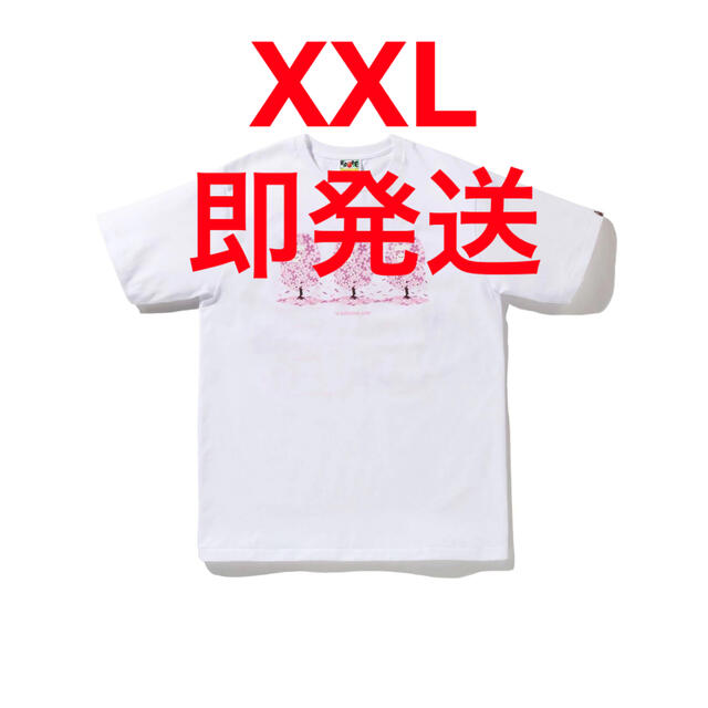 経典ブランド A BATHING APE - XXLサイズ A BATHING APE BAPE SAKURA TEE Tシャツ/カットソー(半袖/袖なし)